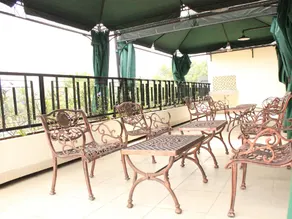 House of Arsonia Orchid - Image 5