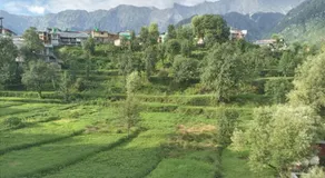 Nirmal Homestay - Image 4
