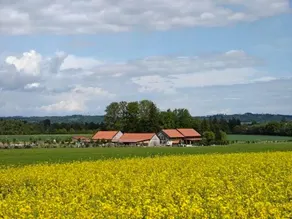 Ranč Telč - Image 4