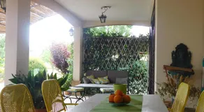 L'albero Del Pepe - Image 3