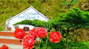 Patlekhet Eco Farmhouse - Image 5