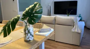 Apartamento céntrico con WIFI y climatizado de 1 habitación y sofá-cama para 3 personas - Image 2