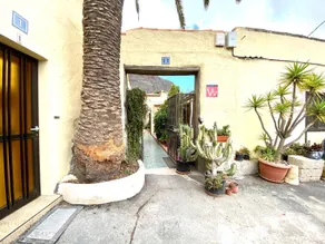 Finca Patio Canario - Image 3