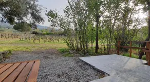 La finestra sul vigneto - Image 4