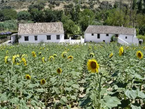 Fincaretama Farmhouse Apartment Ronda - Image 2