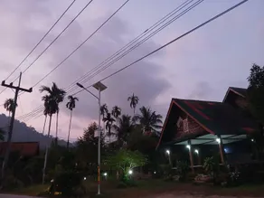 Bamboo House - Image 1