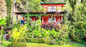Casa Paxanax - Image 5