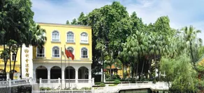 Palm Hotel - Image 4