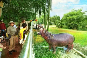 SplashMania homestay Gamuda Cove - Image 4