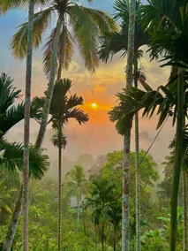 Singhe Villa Banagala - Image 3