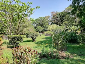 Hotel Rincon de la Vieja Lodge - Image 4