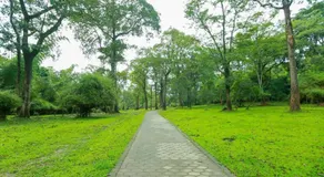 Tusker Inn Forest Lodge - Image 4