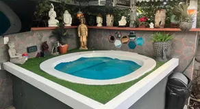 Mitchell's Guesthouse - Image 2