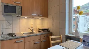 Edelweiss Chalet - Image 3