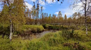 Villa Lavijoki - Image 3
