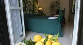 Jungle Rooms - Image 4