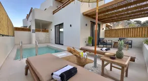 Yucca Calma - Image 2