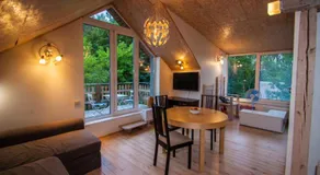 Lakefront house in Senoji Varėna - Image 2