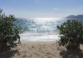 La Résidence Belle Plage - Image 2