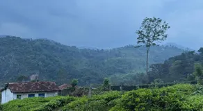 Organic Farmers Tent & Trekking - Image 4
