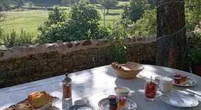 Chambre d'Hôte dans MAS proche Anduze Cévennes avec piscine - Image 4