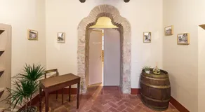 Antico N19 - Image 4