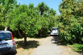 Villa Flora - Image 4