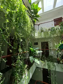 Nicobar Con Dao Hotel - Image 4