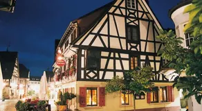 Gasthaus Storchen Hellas - Image 4