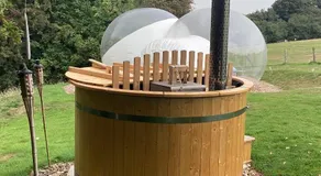 Wooded Bubble - Image 3