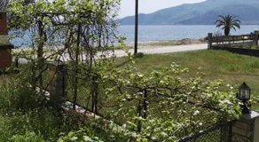 Sunny summer time - Image 4