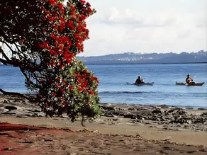 Mahurangi West Wing - Luxury Bed and Breakfast - Image 4