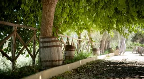 Tenuta Valle delle Ferle - Image 5
