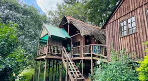 Treehouse River Lodge - Image 5