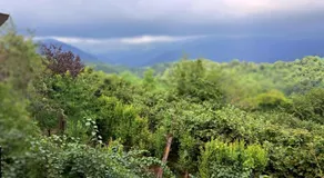 Villa Lematue Guest House - Image 5