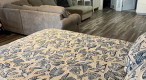 Studio Guest Apartment in Dartmouth - Image 2