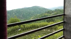 101 Tea Green View - Image 5