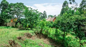 Etana Cottage Kakamega - Image 3