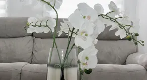 Katie's house - Image 5