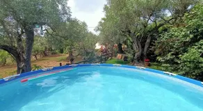 Golden Camp - Image 2