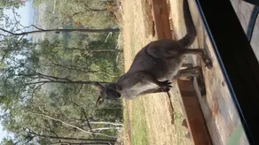 Bush  getaway - Image 3