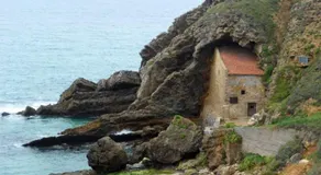 El Bodegon de Luis - Image 4