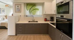 Καλαίσθητο Ηλιόλουστο Studio - Image 3