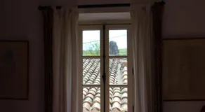 Sous l'abricotier - Image 5