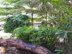 Rimbungview Resort - Image 4