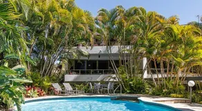 Rainforest paradise in the palms - Image 3