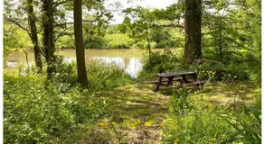 Park Farm Chalet - Image 4