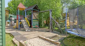 Jūros nendrė - Image 5