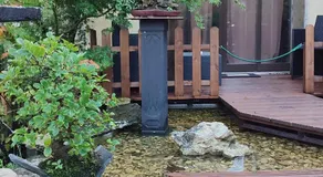 Zen Guest House - Museu do Bonsai - Image 5