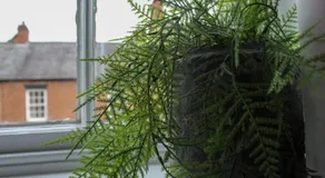 STAY on the High Street - Image 5